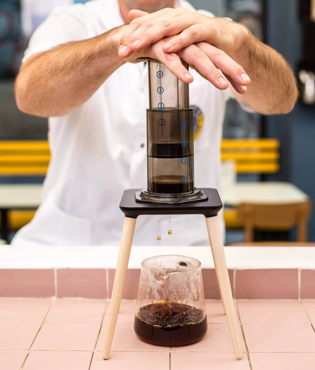 Sibarist Glory Stands