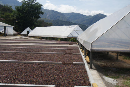 اسبريسو فردي المصدر ڤيا سايبرس – السلفادور